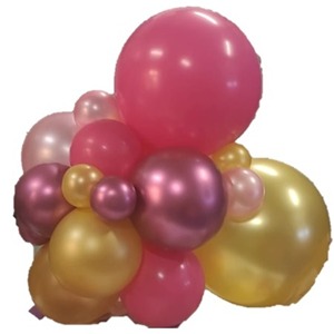 Organic Ballonnentros (9 ballonnen)